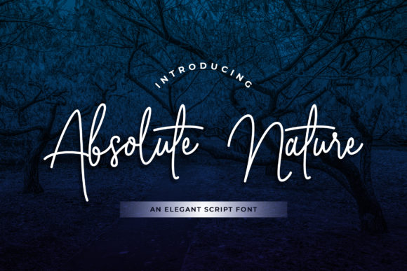 Absolute Nature: A Versatile Script for Creative Projects