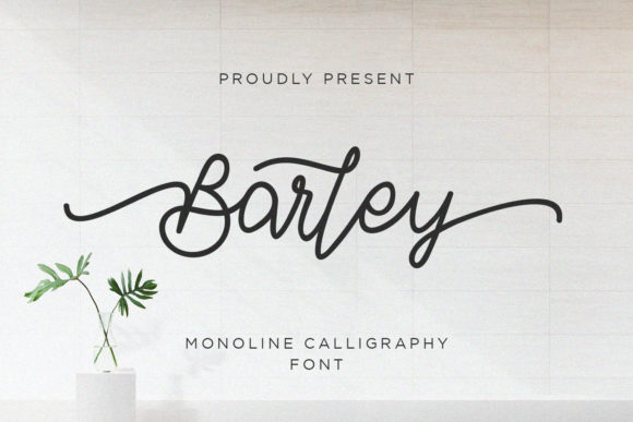 Barley: The Perfect Script Font for Engaging Campaigns