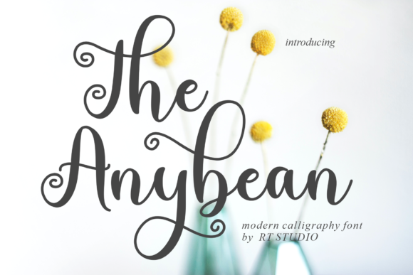 Boost Your Campaign with The Anybean Font
