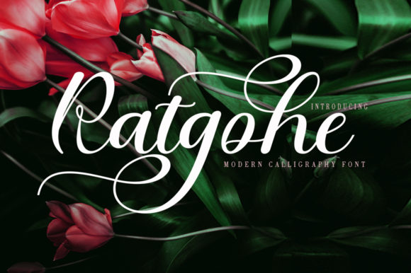 Enhance Your Brand with Ratgohe: A Whimsical Script Font