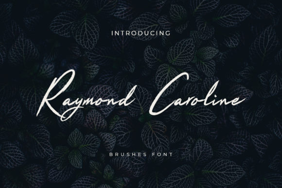 Enhance Your Brand with Raymond Caroline Font