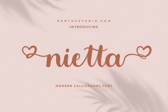 Nietta: A Delicate and Elegant Font for Web Design